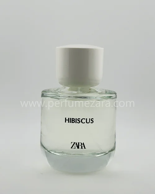 Hibiscus