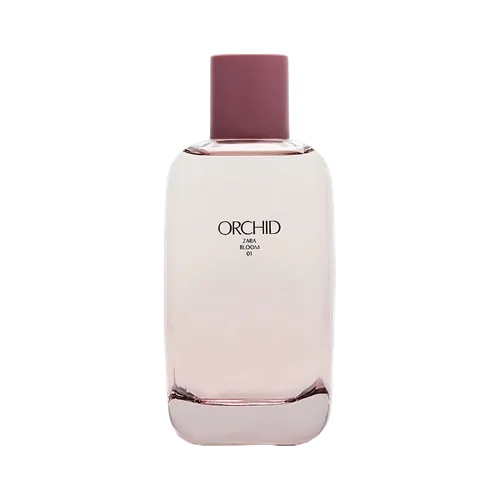 ORCHID