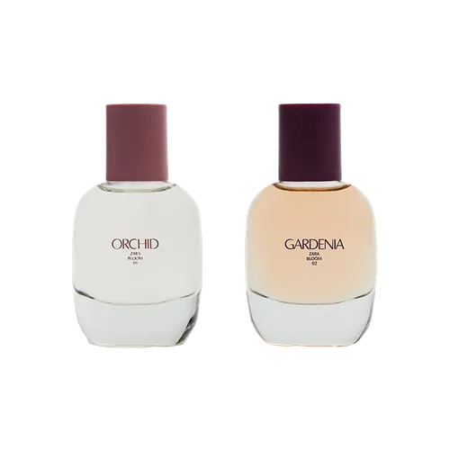 GARDENIA + ORCHID