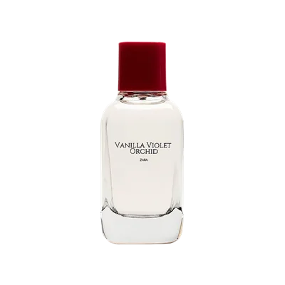 VANILLA VIOLET ORCHID