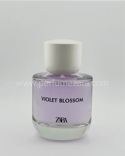 Violet Blossom