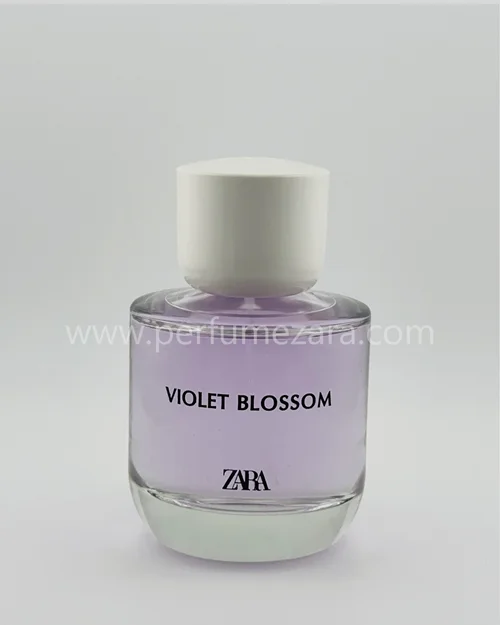 Violet Blossom