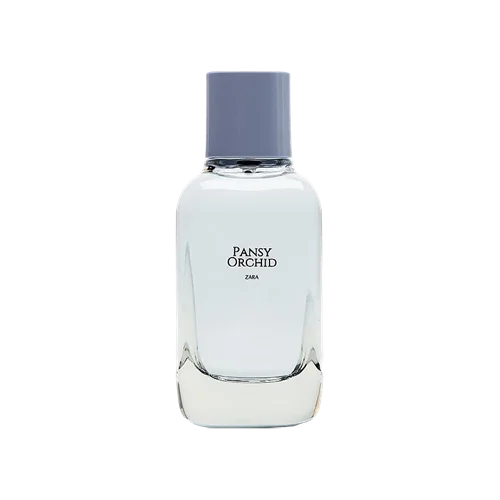 PANSY ORCHID